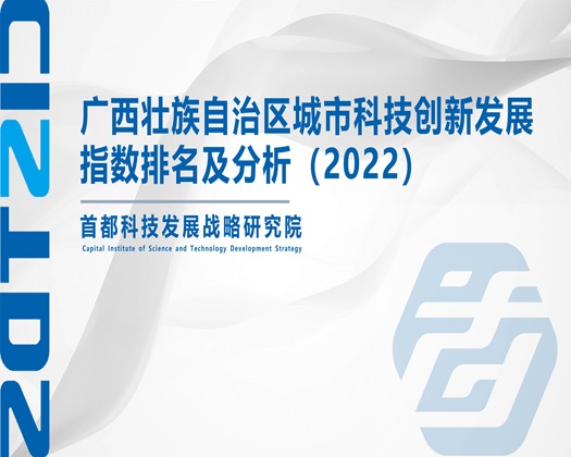 大鸡巴操浪逼【成果发布】广西壮族自治区城市科技创新发展指数排名及分析（2022）